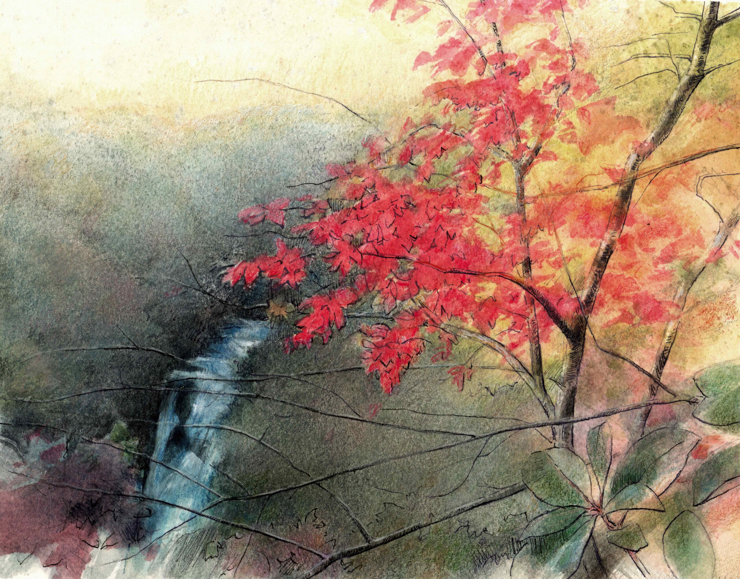 Tallulah Fire and Water by Ann Litrel