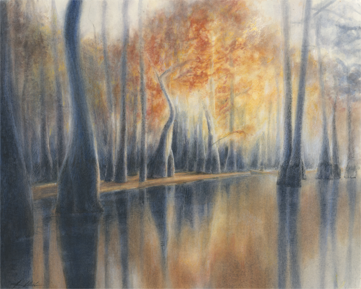 Golden Passage at George L. Smith State Park by Ann Litrel