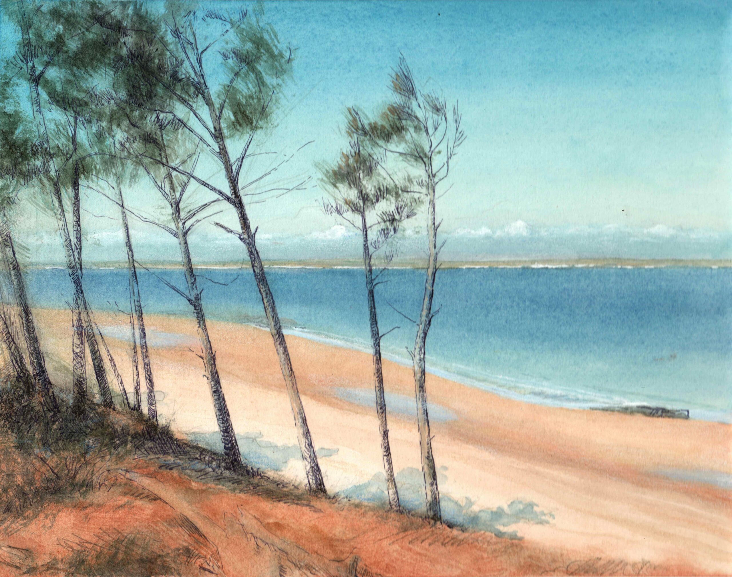 Holding the Shore at Cumberland Island by Ann Litrel