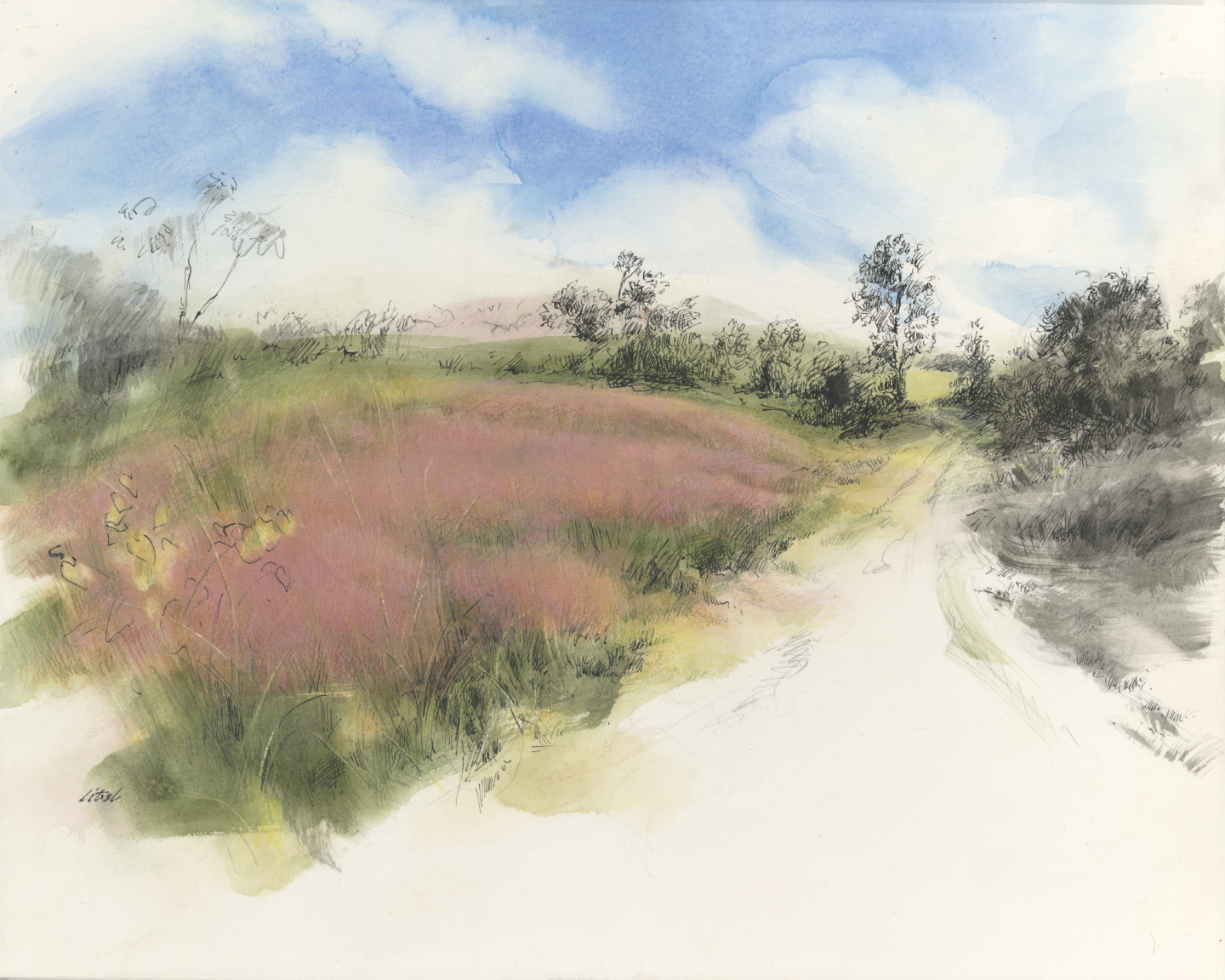 The Living Prairie at Oaky Woods by Ann Litrel