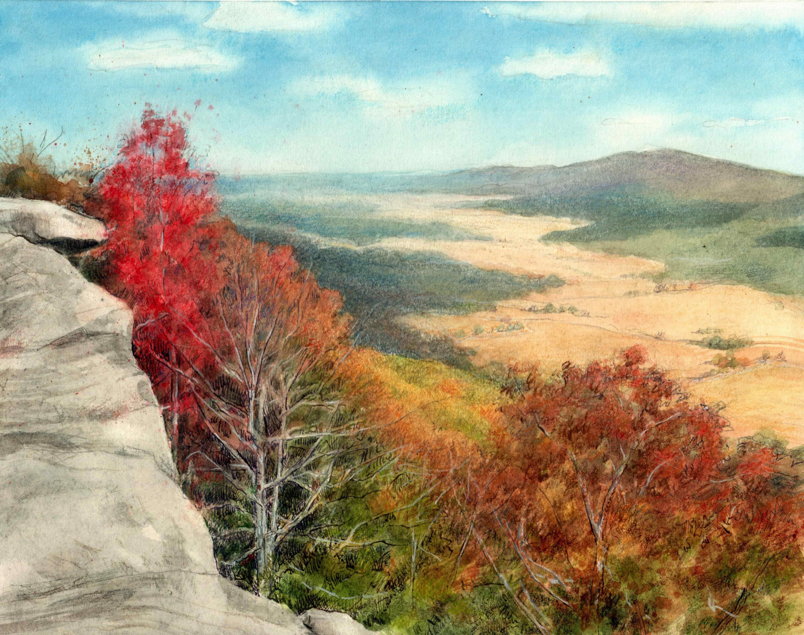 Valley of Gold at McLemore Cove by Ann Litrel